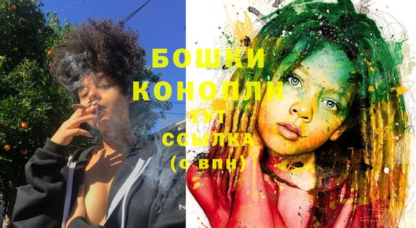 хмурый Лиски